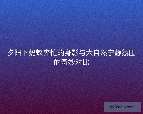 夕阳下蚂蚁奔忙的身影与大自然宁静氛围的奇妙对比